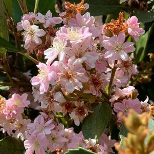 Meet your Posher, Jade